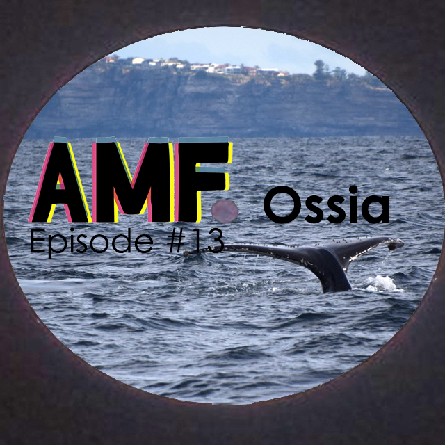 AMF episode 13 Ossia