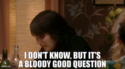 Bloody good question gif