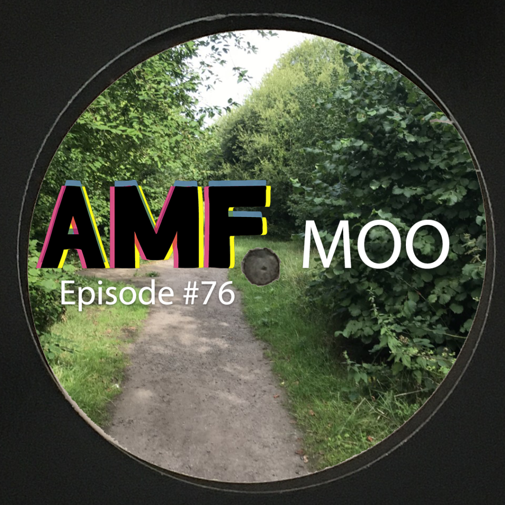 AMF EP 76 Moo