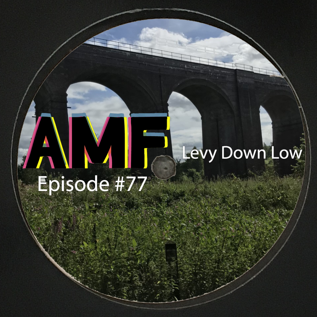 Artwork for Levy Down Low's mix